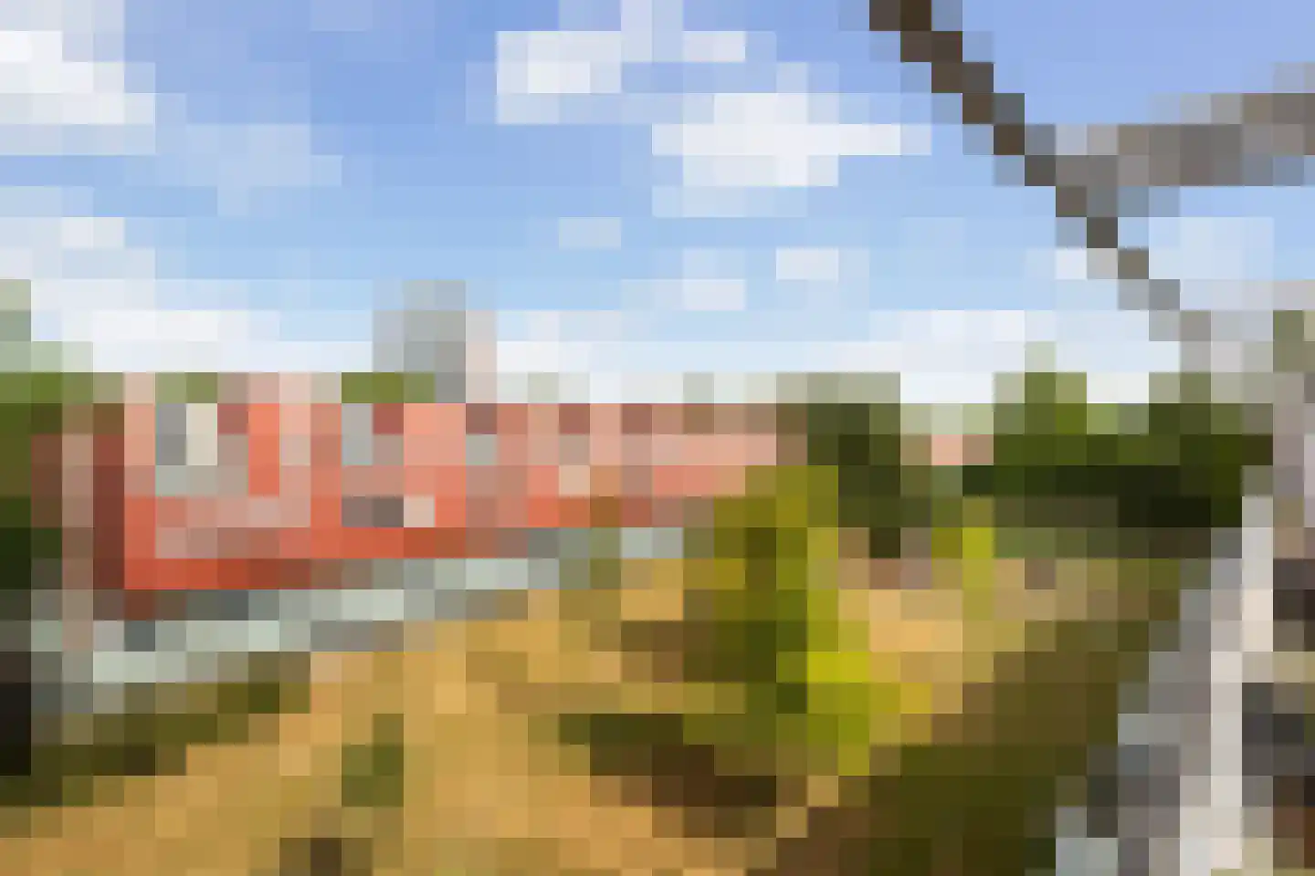 Meerval 20 Amersfoort thumbnail 9
