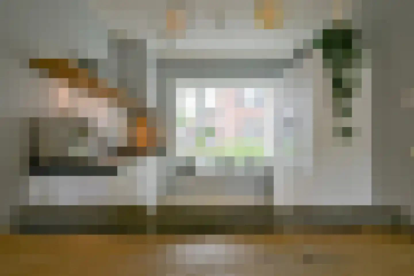 Meerval 25 Schagen thumbnail 10