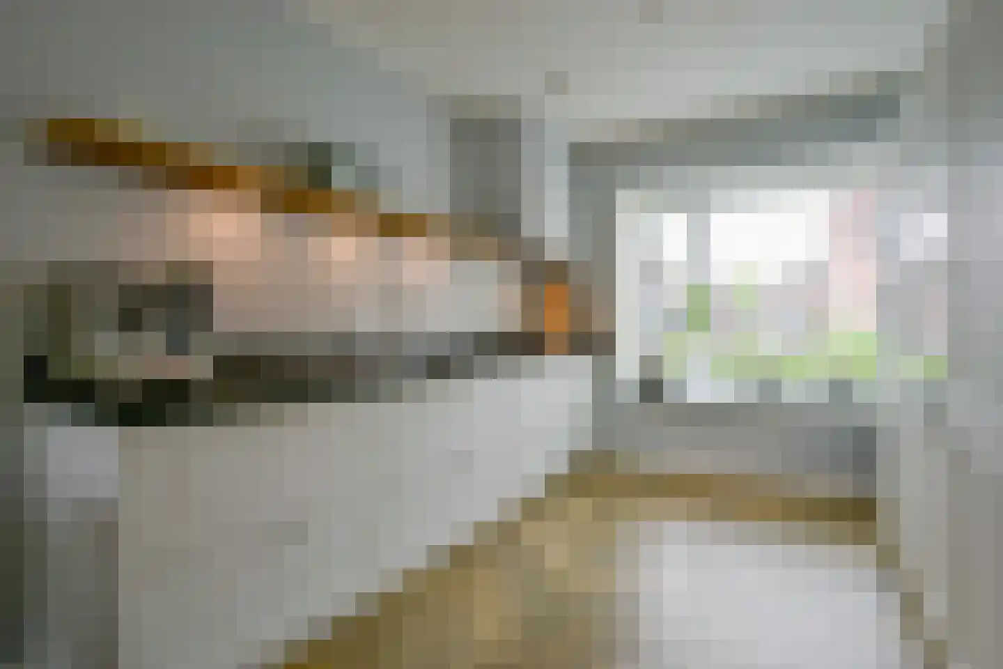 Meerval 25 Schagen thumbnail 11