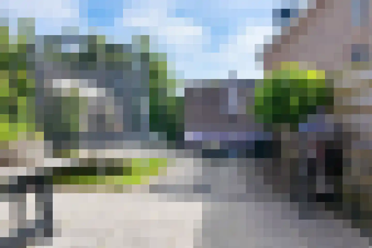 Meerval 25 Schagen thumbnail 16