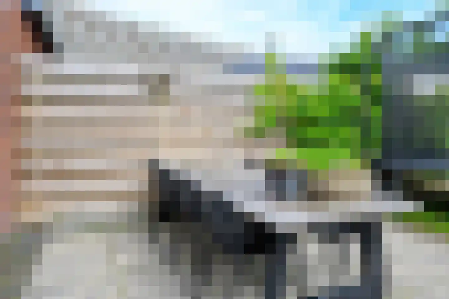 Meerval 25 Schagen thumbnail 17
