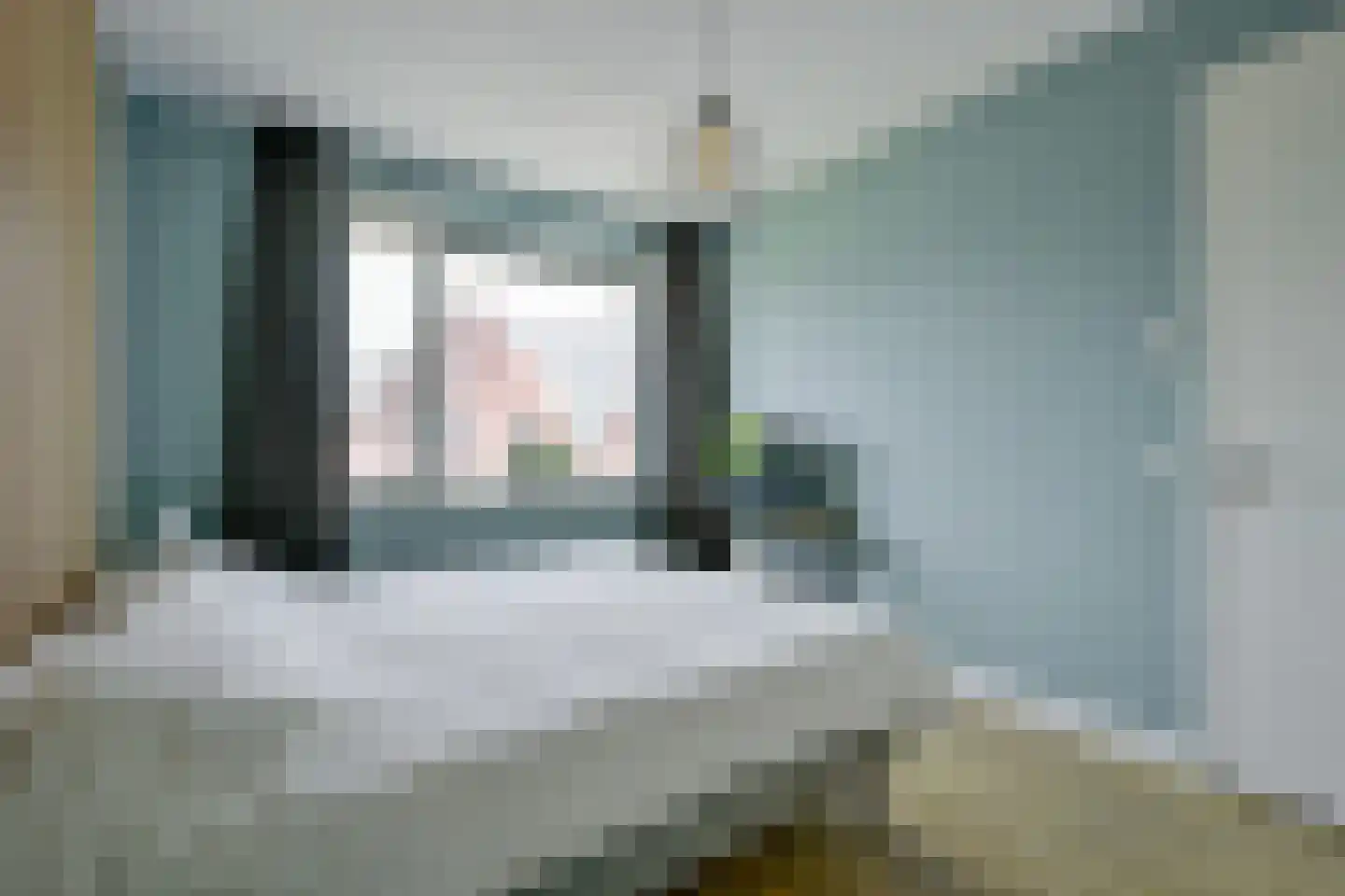 Meerval 25 Schagen thumbnail 24