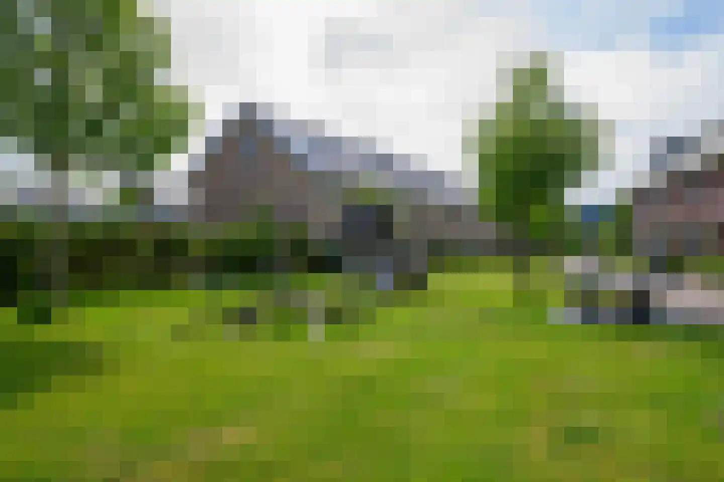 Meerval 25 Schagen thumbnail 41