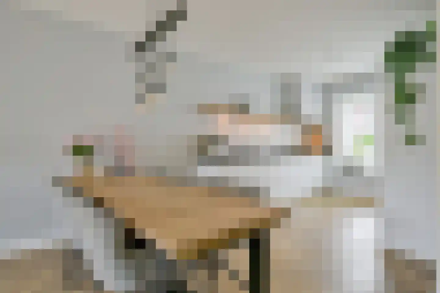 Meerval 25 Schagen thumbnail 9