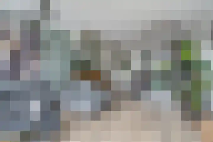 Meerval 25 Waddinxveen thumbnail 10