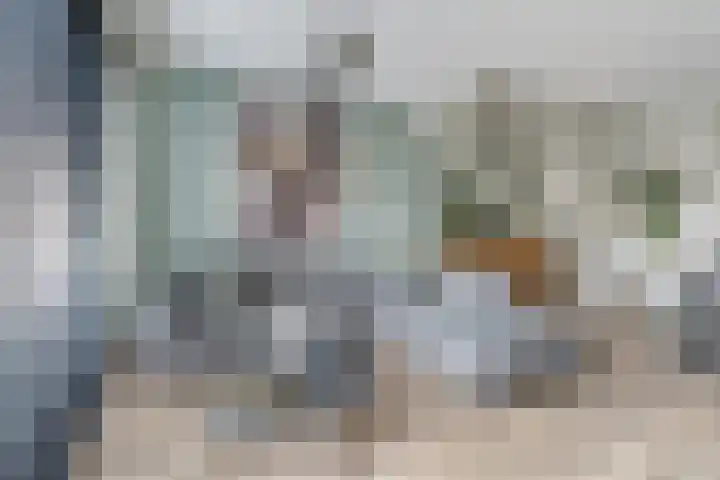 Meerval 25 Waddinxveen thumbnail 11