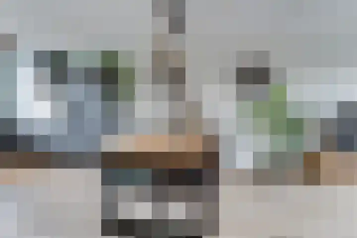 Meerval 25 Waddinxveen thumbnail 13