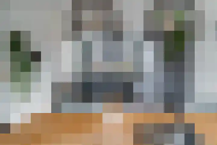 Meerval 25 Waddinxveen thumbnail 14