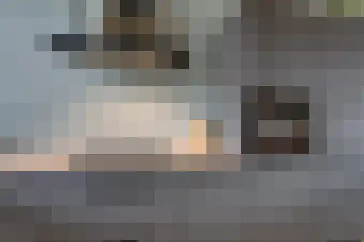 Meerval 25 Waddinxveen thumbnail 17