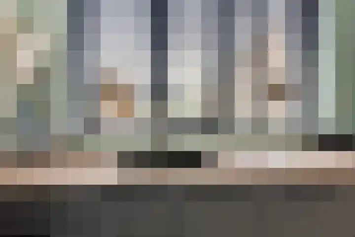 Meerval 25 Waddinxveen thumbnail 18