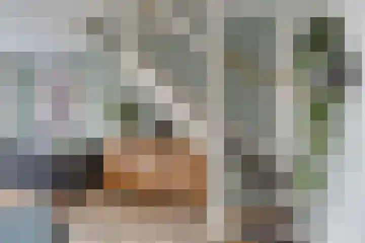 Meerval 25 Waddinxveen thumbnail 21