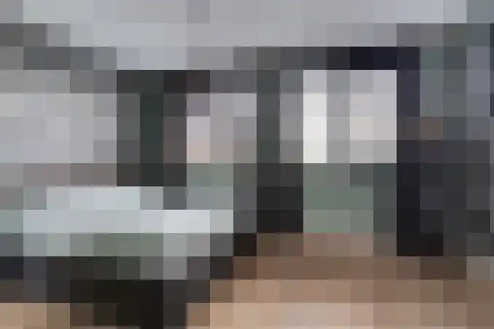 Meerval 25 Waddinxveen thumbnail 23