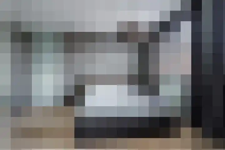 Meerval 25 Waddinxveen thumbnail 24