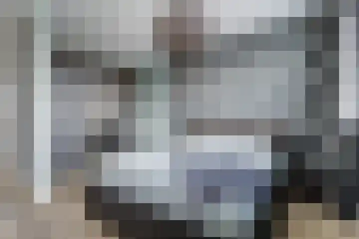 Meerval 25 Waddinxveen thumbnail 25