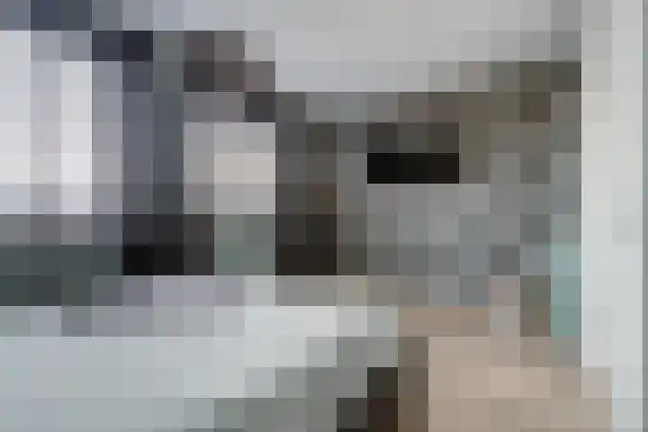 Meerval 25 Waddinxveen thumbnail 26