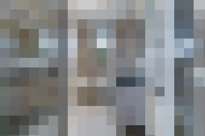 Meerval 25 Waddinxveen thumbnail 30