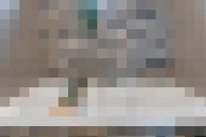 Meerval 25 Waddinxveen thumbnail 31