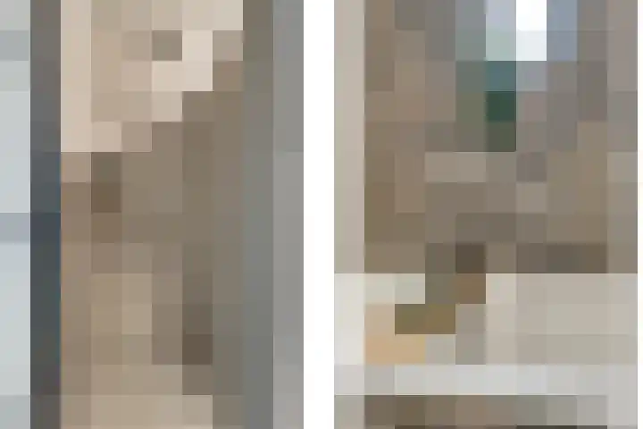 Meerval 25 Waddinxveen thumbnail 33