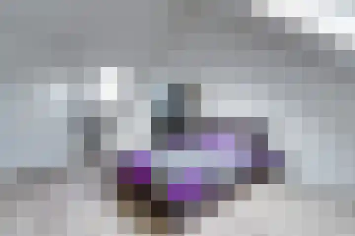 Meerval 25 Waddinxveen thumbnail 35