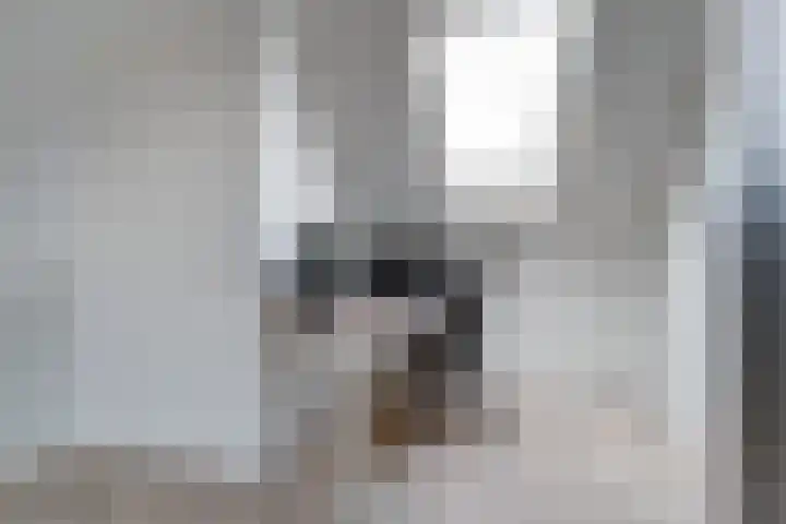 Meerval 25 Waddinxveen thumbnail 36