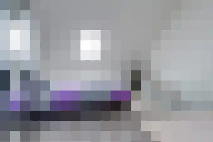 Meerval 25 Waddinxveen thumbnail 37