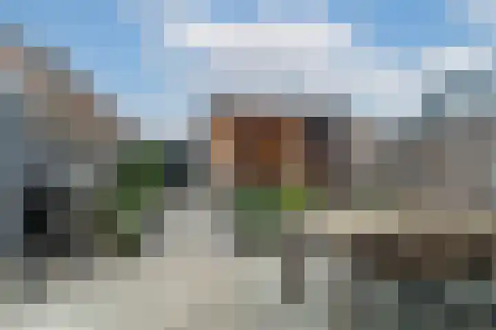 Meerval 25 Waddinxveen thumbnail 39