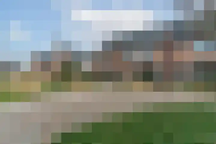 Meerval 25 Waddinxveen thumbnail 4