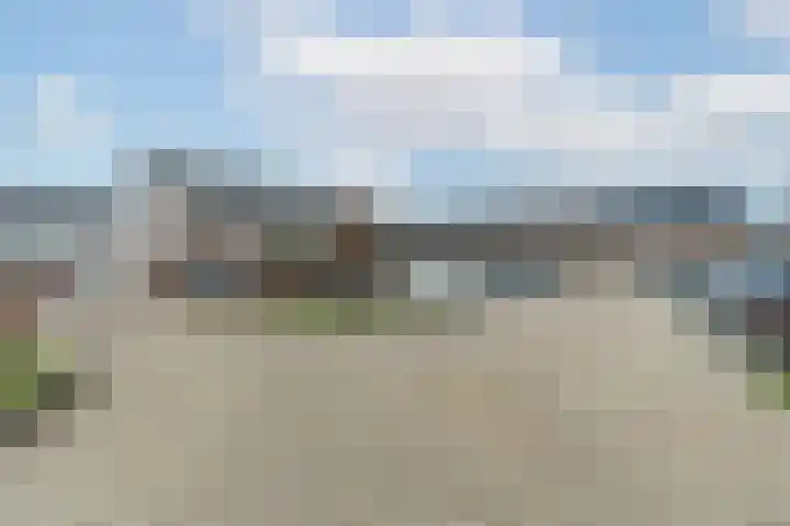 Meerval 25 Waddinxveen thumbnail 44