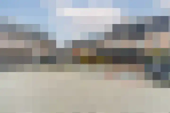 Meerval 25 Waddinxveen thumbnail 45
