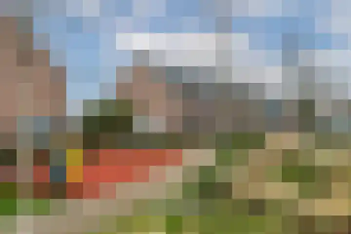 Meerval 25 Waddinxveen thumbnail 46