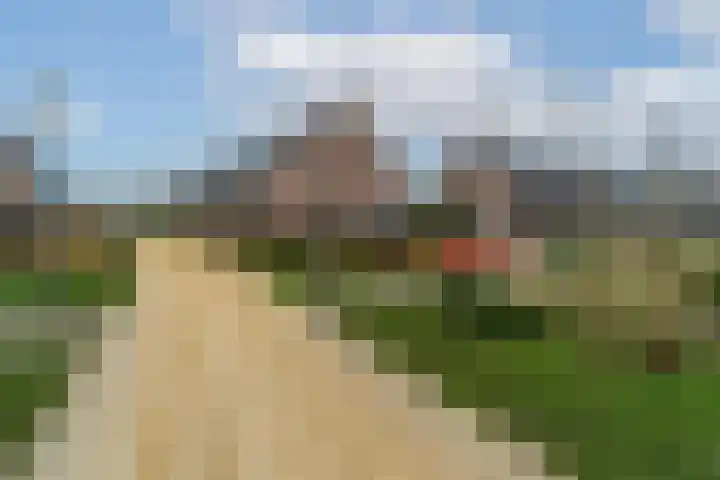 Meerval 25 Waddinxveen thumbnail 47