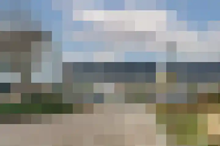 Meerval 25 Waddinxveen thumbnail 48
