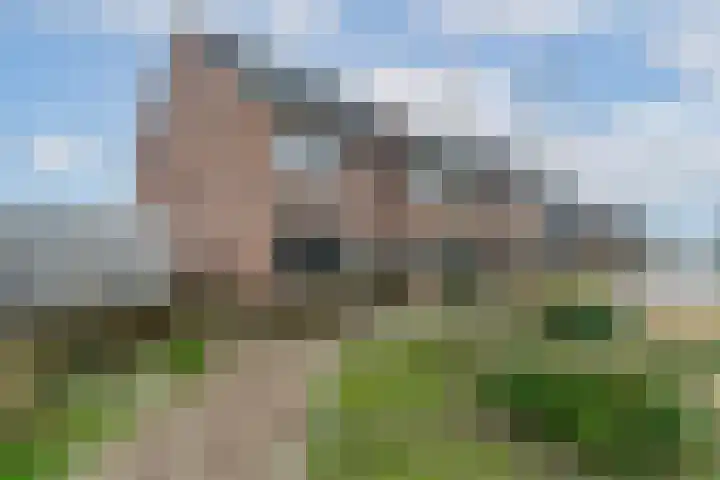 Meerval 25 Waddinxveen thumbnail 5