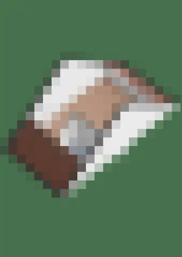 Meerval 25 Waddinxveen thumbnail 57