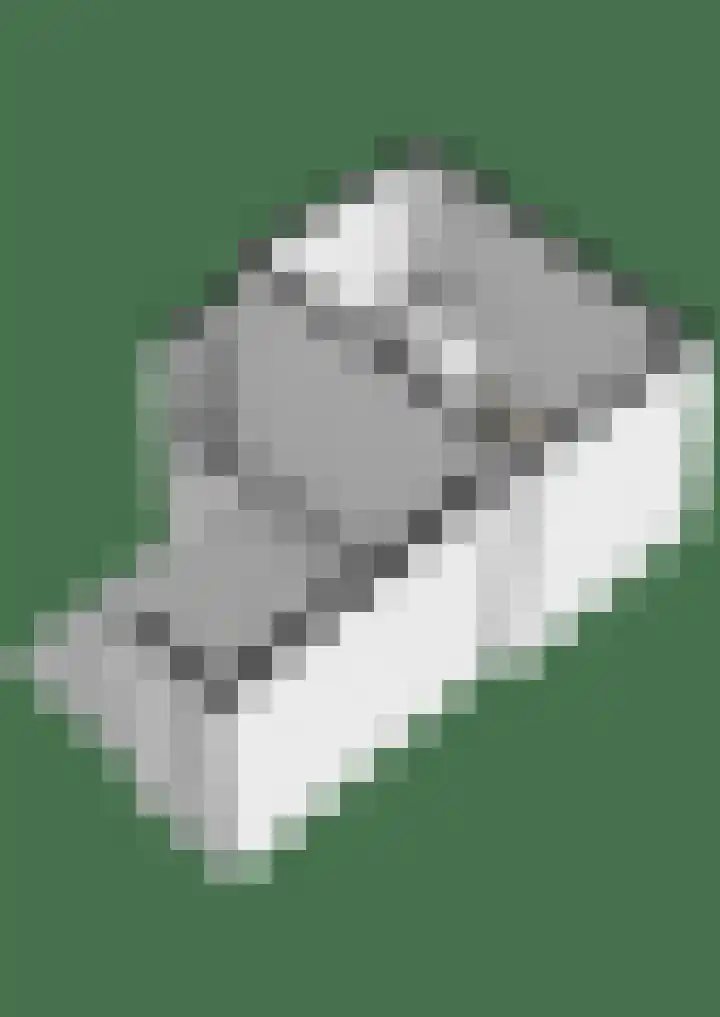 Meerval 25 Waddinxveen thumbnail 59