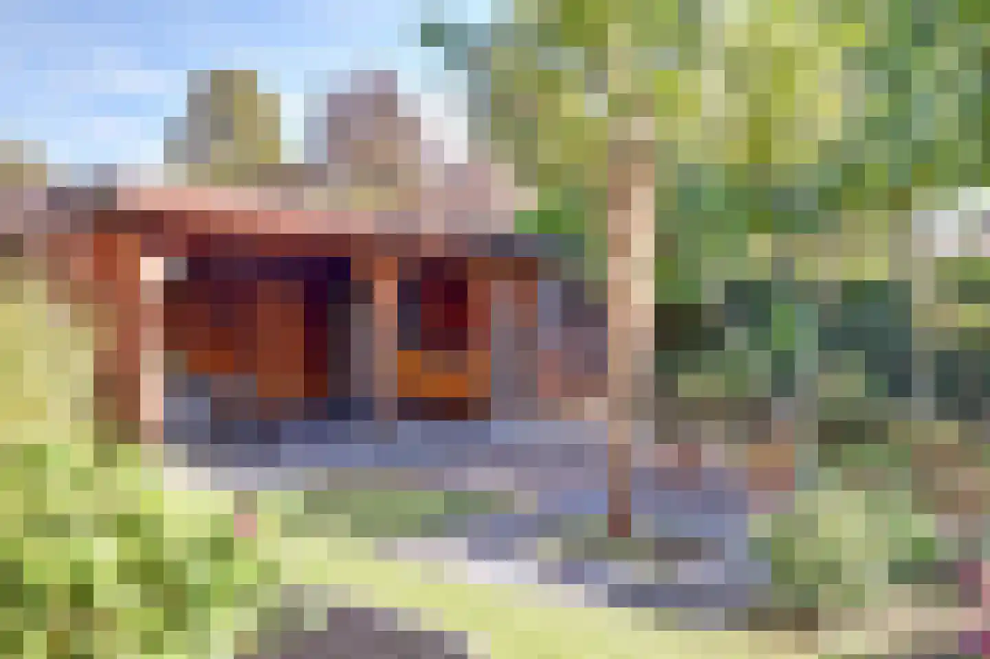 Meerval 26 Hendrik-Ido-Ambacht thumbnail 58