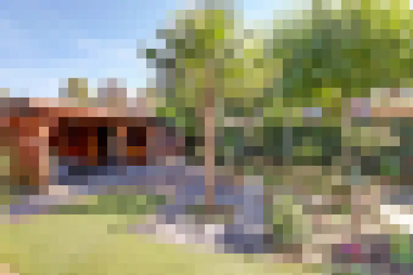 Meerval 26 Hendrik-Ido-Ambacht thumbnail 7