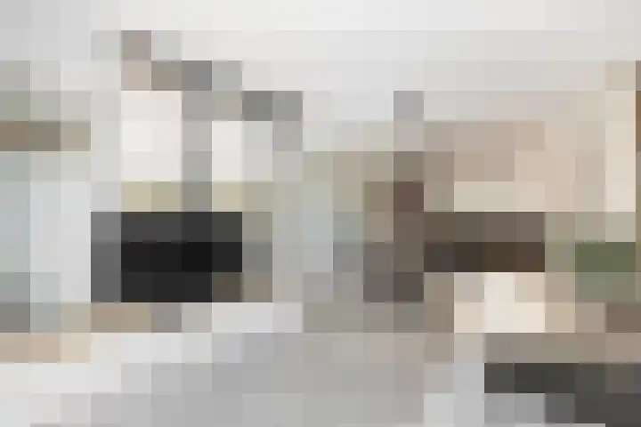 Meerval 28 Waddinxveen thumbnail 12