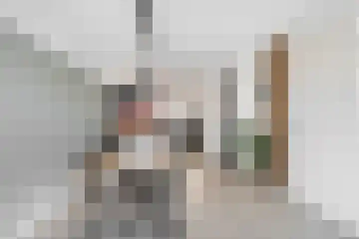 Meerval 28 Waddinxveen thumbnail 15