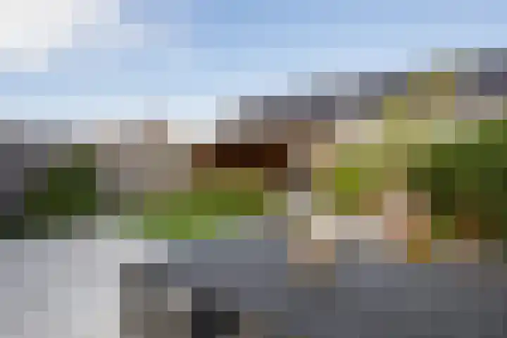 Meerval 28 Waddinxveen thumbnail 17