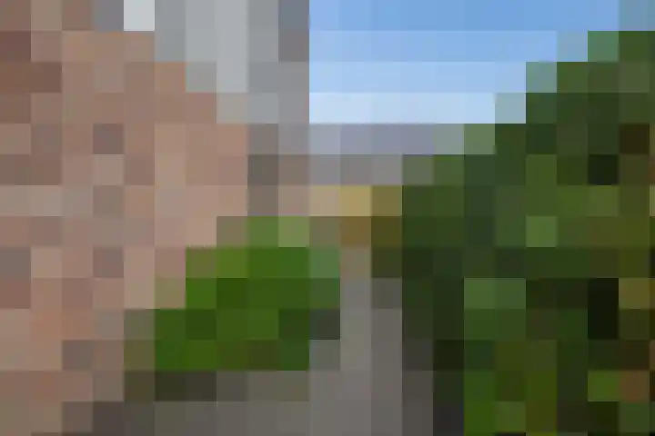 Meerval 28 Waddinxveen thumbnail 18