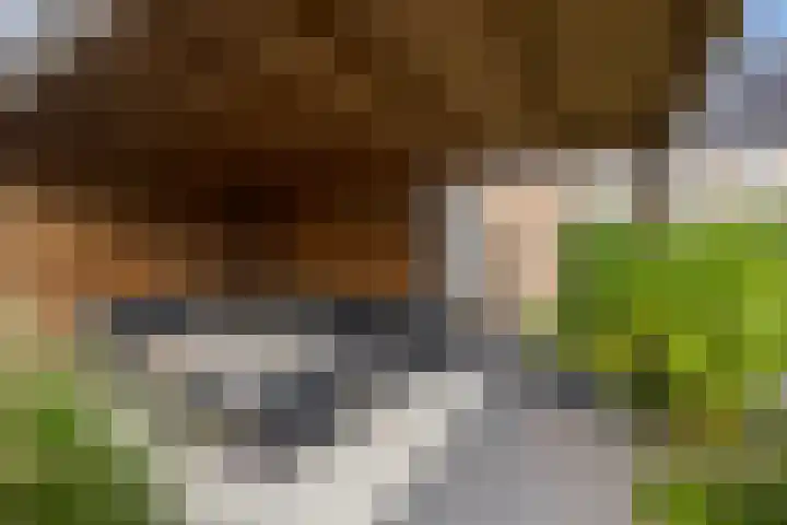Meerval 28 Waddinxveen thumbnail 19