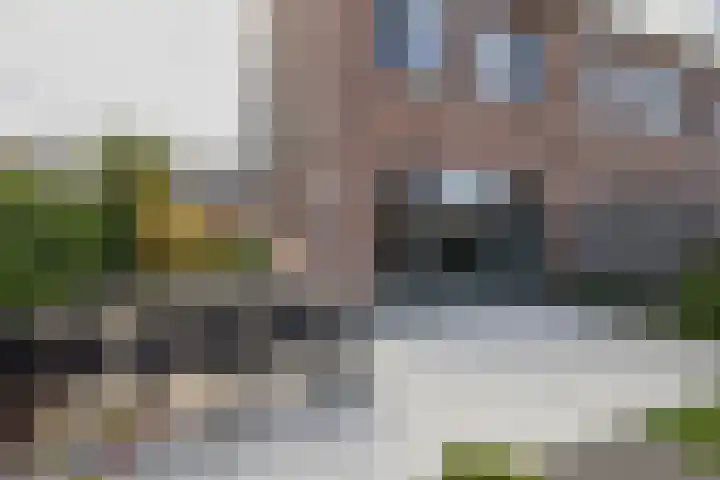 Meerval 28 Waddinxveen thumbnail 20