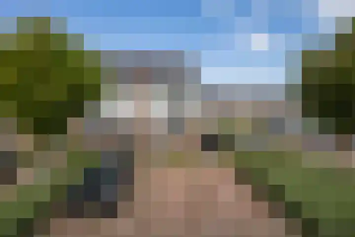 Meerval 28 Waddinxveen thumbnail 29