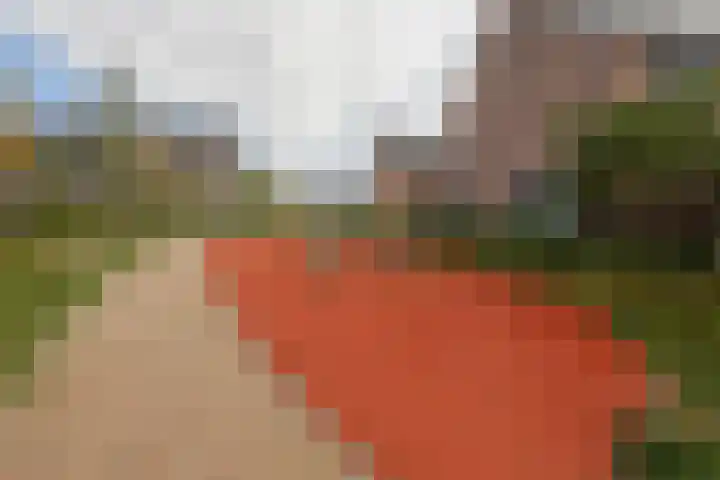 Meerval 28 Waddinxveen thumbnail 30