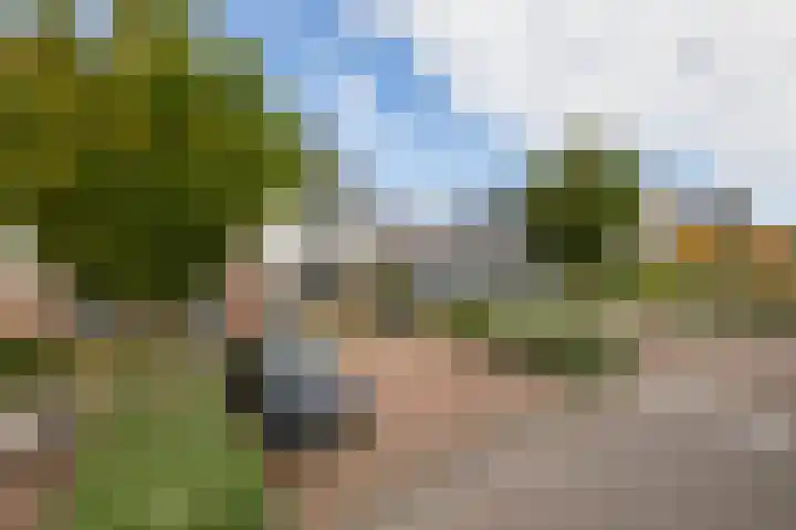 Meerval 28 Waddinxveen thumbnail 5