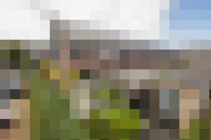 Meerval 28 Waddinxveen thumbnail 6