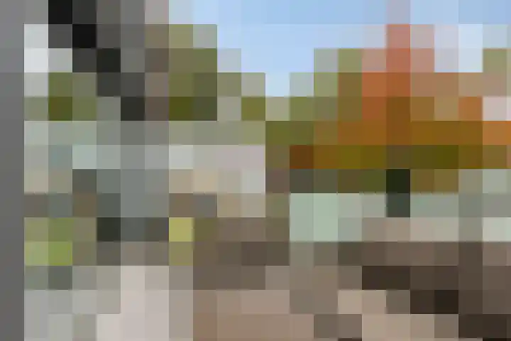 Meerval 30 Amersfoort thumbnail 15