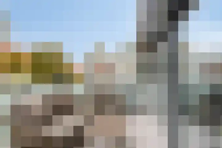 Meerval 30 Amersfoort thumbnail 16