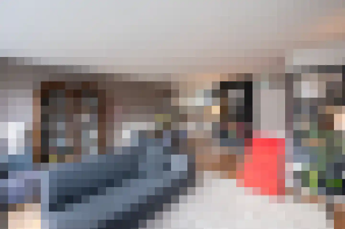 Meerval 33 Bodegraven thumbnail 10